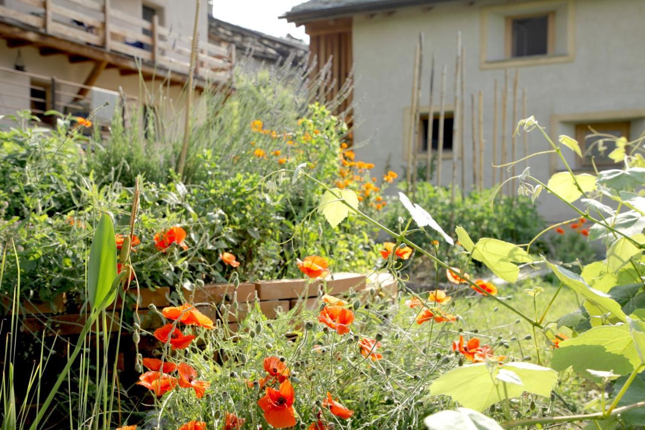 La Casa Di Paglia B&B Verrayes Zewnętrze zdjęcie